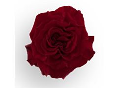 Red Rose Dark Red Heart